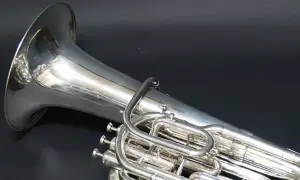 Jakie instrumenty nazywamy dętymi? Poznaj ich rodzaje i cechy
