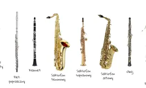 Jak nazywamy wszystkie instrumenty dęte? Odkryj pełną listę i ich cechy