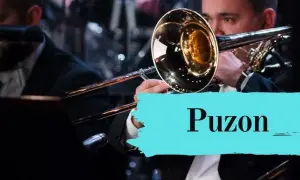 Jak wygląda puzon? Odkryj jego niezwykły design i cechy
