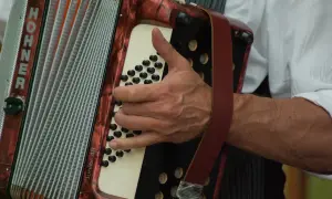 Dłoń gra na akordeonie HOHNER. Ile trwa nauka gry na akordeonie? Zależy od zaangażowania i talentu.
