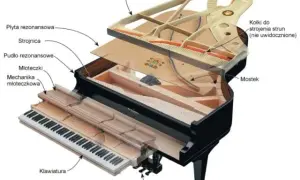 Zaskakująca prawda o tym ile strun ma pianino: dowiesz się w 2 minuty