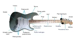 Gitara czy perkusja - jak wybrać pierwszy instrument muzyczny w życiu?
