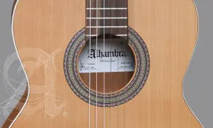 Gitara Alhambra z serii Natura, wykonana z naturalnego drewna, z ozdobnym rozetą i białymi, delikatnymi liniami przypominającymi szkice.