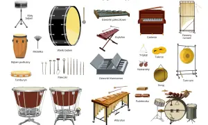 Ilustracja przedstawia różnorodne instrumenty muzyczne perkusyjne: bębny, ksylofon, wibrafon, dzwonki, talerze, gong, kastaniety i inne.