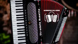 Elegancki akordeon klawiszowy Stradella Musette, gotowy do tworzenia pięknych melodii.