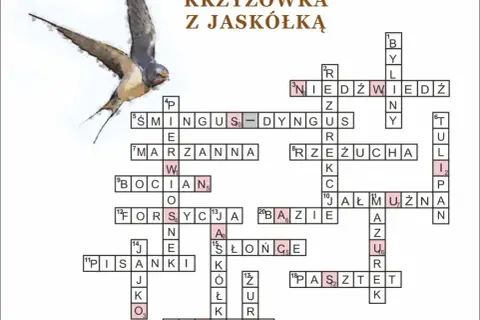 Styl jazzowy krzyżówka: najważniejsze hasła i terminy do rozwiązania