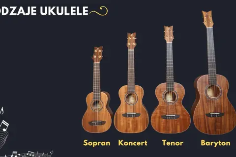 Cztery ukulele: sopranowe, koncertowe, tenorowe i barytonowe. Pomoc w wyborze, jakie ukulele kupić.