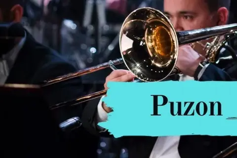 Jak wygląda puzon? Odkryj jego niezwykły design i cechy