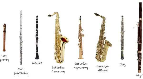 Jak nazywamy wszystkie instrumenty dęte? Odkryj pełną listę i ich cechy