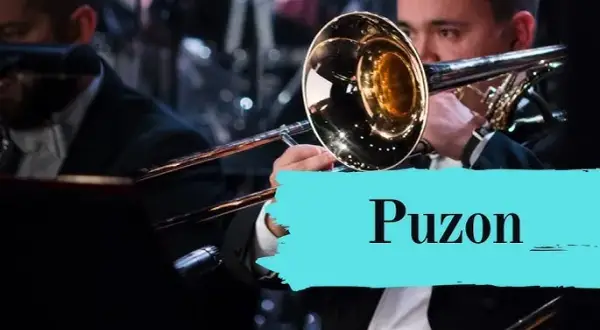 Jak wygląda puzon? Odkryj jego niezwykły design i cechy