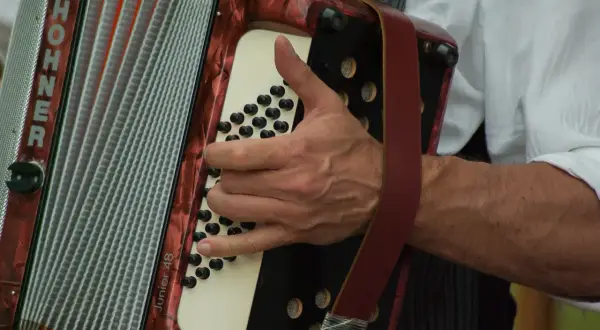 Dłoń gra na akordeonie HOHNER. Ile trwa nauka gry na akordeonie? Zależy od zaangażowania i talentu.