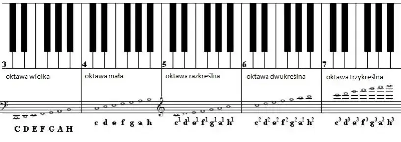 Zdjęcie Ile oktaw ma pianino: poznaj pełen zakres brzmienia instrumentu