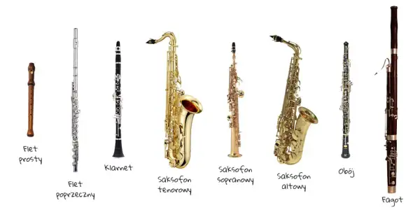 Jak nazywamy wszystkie instrumenty dęte? Odkryj pełną listę i ich cechy
